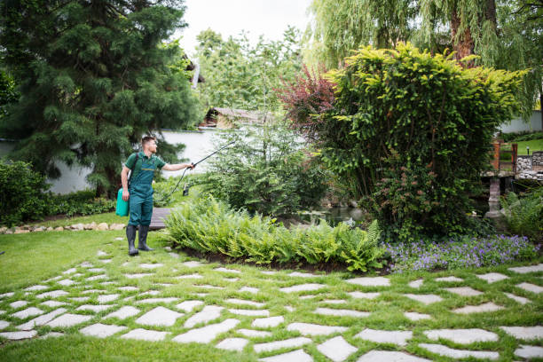 Best Affordable Pest Control Services  in Stallings, NC