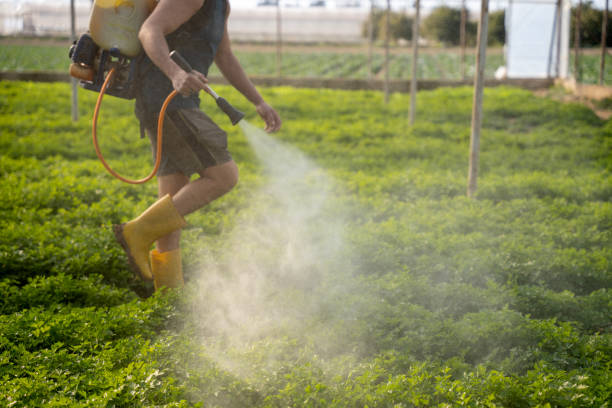 Best Commercial Pest Control Services  in Stallings, NC