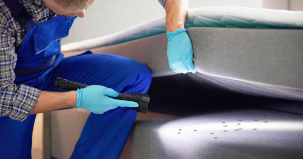 Best Pest Control for Restaurants  in Stallings, NC