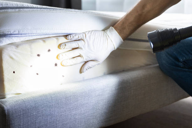 Best Pest Inspection Near Me  in Stallings, NC