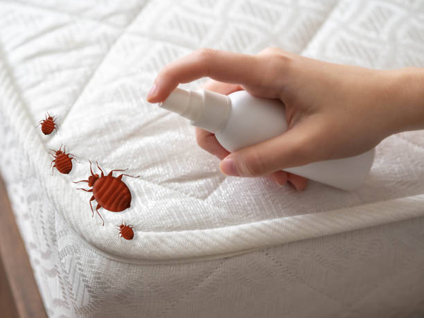 Pest Control Cost in Stallings, NC