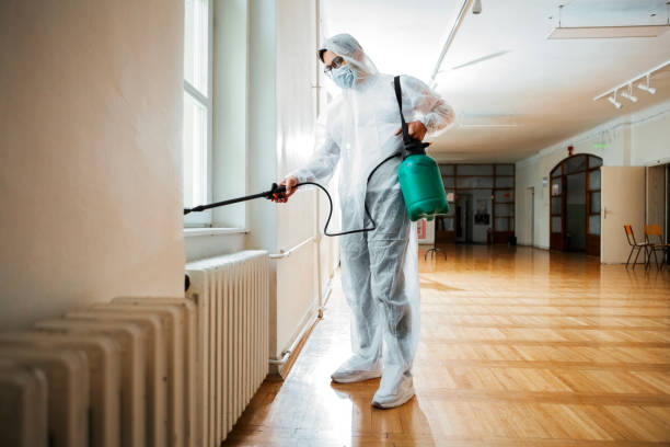 Best Insect Control  in Stallings, NC