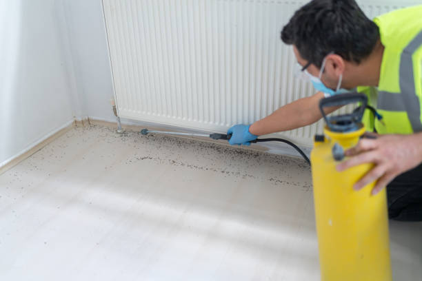 Best Mosquito Control Services  in Stallings, NC
