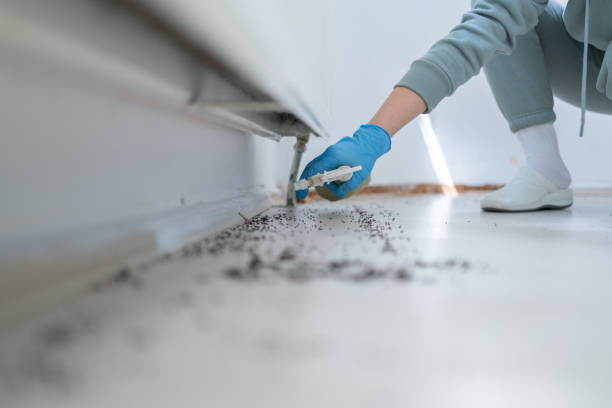 Best Pest Removal Services  in Stallings, NC